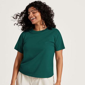 Allbirds Allgood Bomulds T Shirts Dame Turkis | DK4307GL