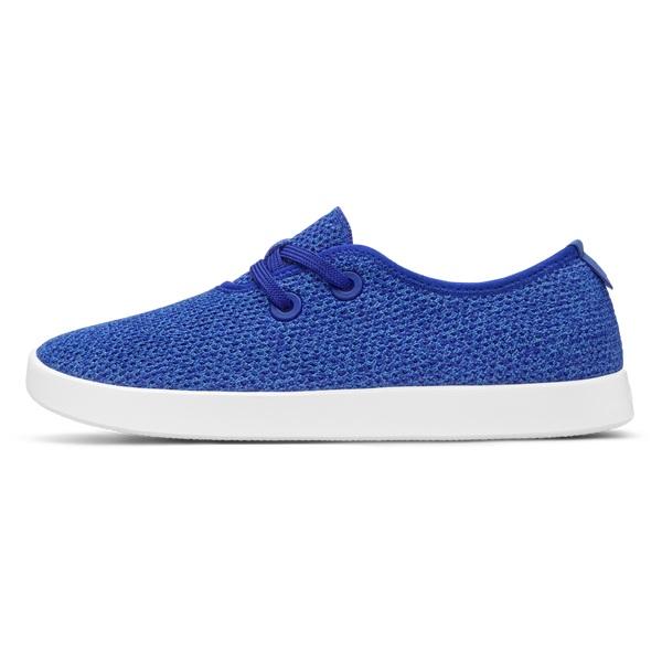 Allbirds Tree Skippers Sneakers Herre Blå | DK5041YU